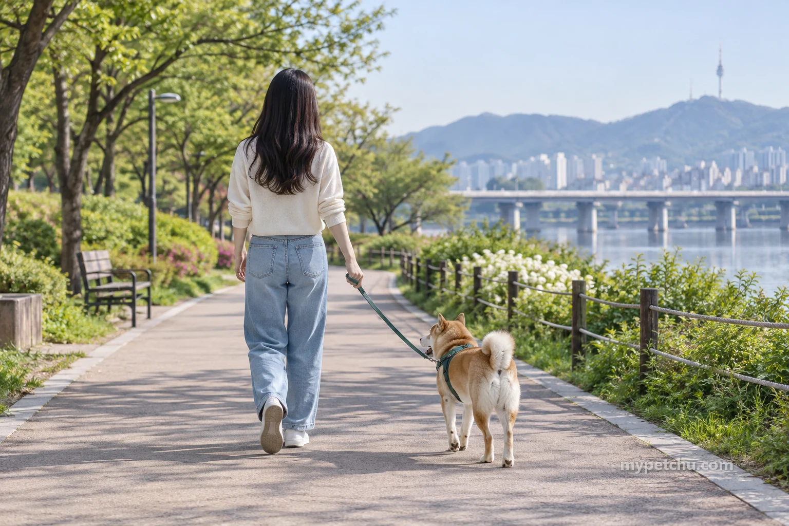 공원 길을 걷는 사람과 강아지의 뒷모습