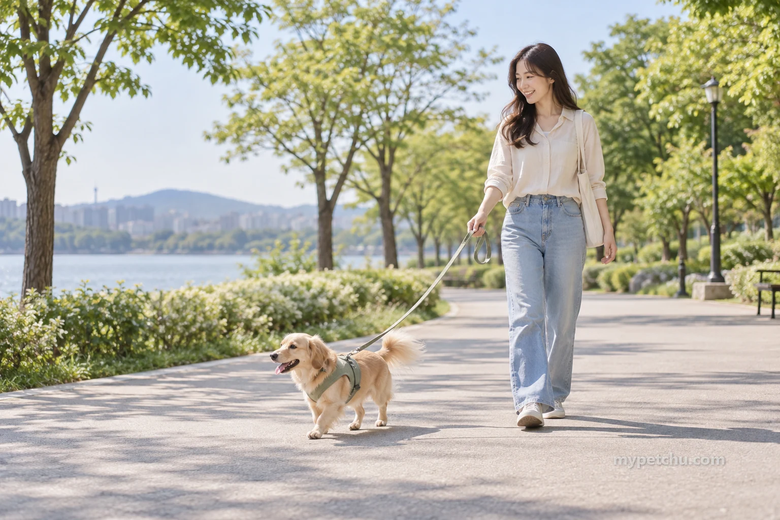 공원 길에서 줄을 잡고 강아지와 걷는 사람