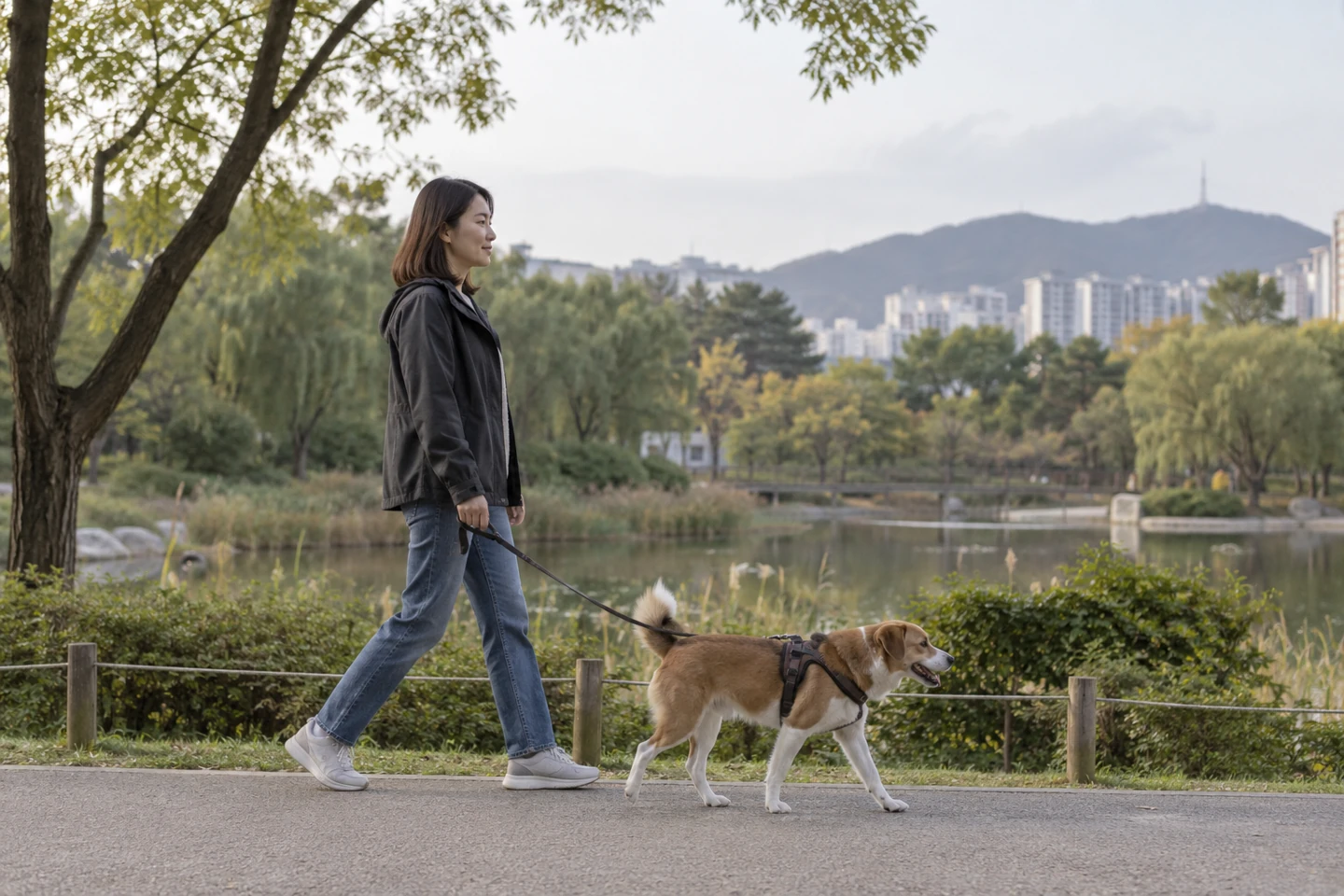 강아지와 보내는 평소 시간 — 산책과 돌봄을 가족이 나누어 이어갈 수 있습니다. 생활이나 건강의 변화가 걱정되면 수의사에게 관찰한 내용을 설명해 주세요.