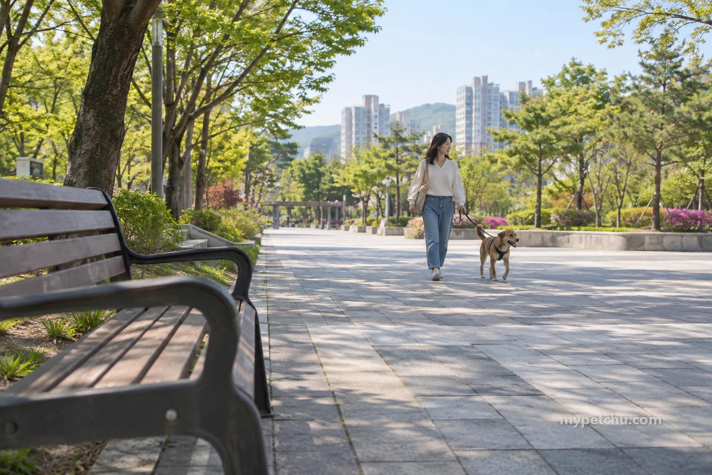 밝은 공원 보행로에서 여성이 갈색 개와 산책하는 넓은 풍경