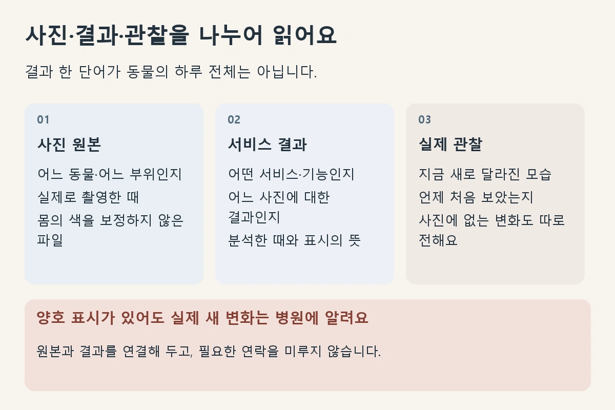 사진 원본의 대상과 촬영 시점, 서비스 결과의 범위, 실제 관찰한 변화를 구분하는 안내