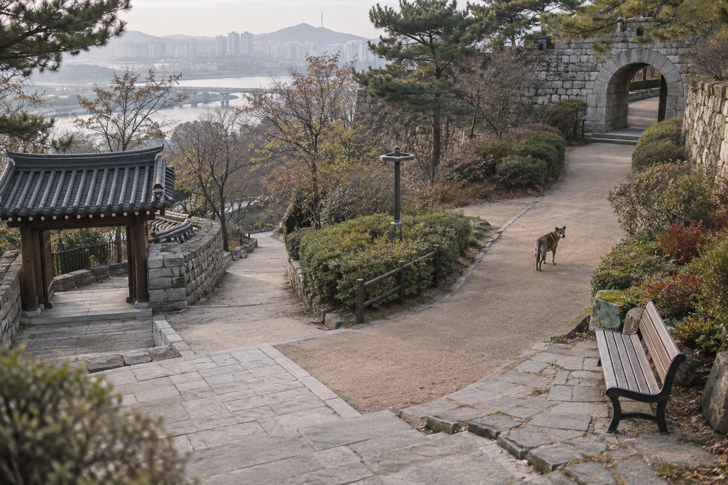 돌담과 벤치가 있는 갈림길에 서 있는 개